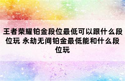 王者荣耀铂金段位最低可以跟什么段位玩 永劫无间铂金最低能和什么段位玩